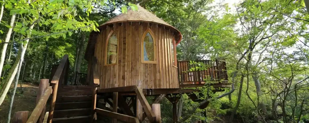Tree House