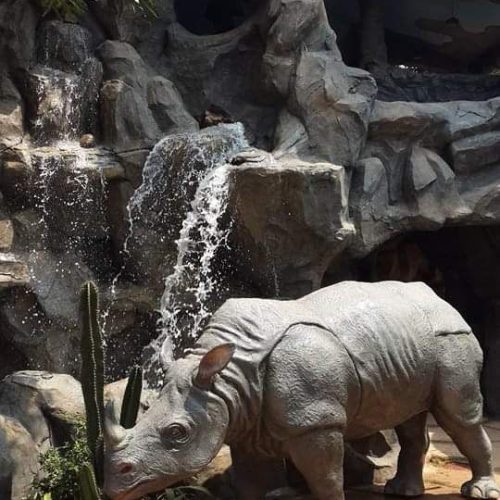 WhatsApp Image 2026-04-03 at 5.13.52 PM (1)