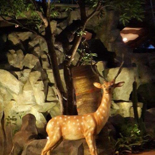 WhatsApp Image 2026-04-03 at 5.13.53 PM