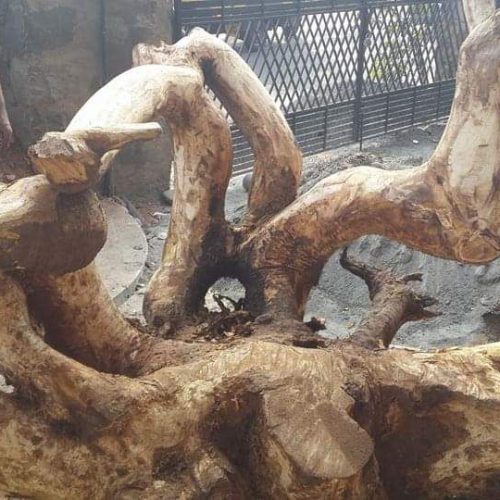 WhatsApp Image 2026-04-03 at 5.13.55 PM