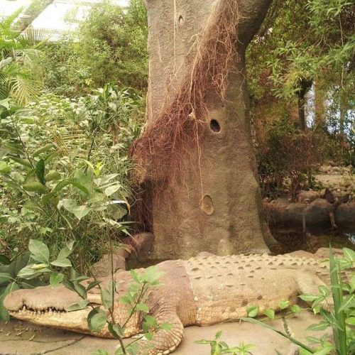 WhatsApp Image 2026-04-03 at 5.13.56 PM (1)